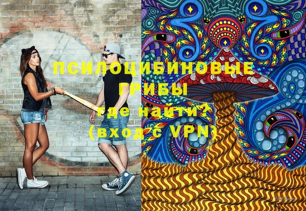 гидра Армянск